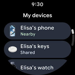 Screenshot image